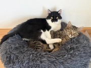 614502100_10163158052038371_4588760040388479456_n