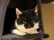 614789089_10163158051238371_6173960682144707202_n