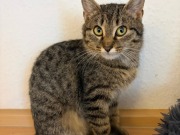 613678897_10163158047913371_961265962169245769_n