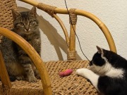 614856064_10163158050778371_6160634875493246593_n