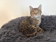 614998148_10163158052863371_1372086791193909895_n