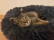 615116421_10163158045788371_3917469568125463414_n