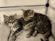 514506540_24165436669754026_347545793086445882_n