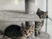 514673384_24165439816420378_1060155392006067879_n