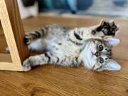 518287515_24266371582993867_2618602955456988996_n