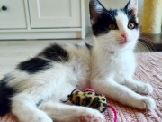 525338424_24969242855998677_1775159993640736895_n