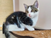 525469760_24967655716157391_1455009139859663367_n