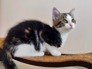 526234895_24967654962824133_4671360548316751841_n