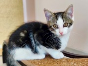 526343479_24967657322823897_3020639019668867656_n