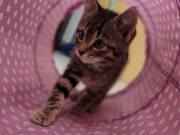 510649959_24381334134808047_2836729314468160069_n