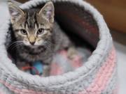 510764835_24381334331474694_4124162242169130403_n