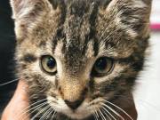 510863161_24381335684807892_1217832328371868472_n