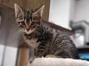 511262735_24381337301474397_3288678453332866_n