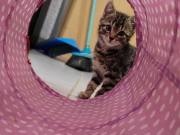 512477354_24381333971474730_845179332522946344_n