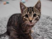 517039886_24501850379423088_8695788595197396960_n