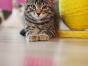 518594400_10235160242844820_7972741595328854916_n