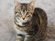 519610905_10235160241724792_1557272603569225544_n