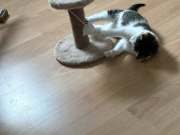 653351630_1494762355500028_7730026524259344035_n