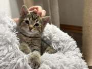 653872567_1494762292166701_1392063915193695458_n