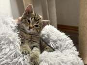 654296353_1494762142166716_1295685880693621217_n