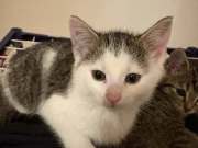 654361346_1494762395500024_7458091228956535623_n