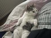 655315287_1497843968525200_7930278029894021377_n