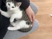 655556072_1494762325500031_9049559200709446441_n