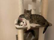 657042002_1501627624813501_3684417469582036083_n