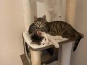 658444336_1501627591480171_1042702796568043799_n