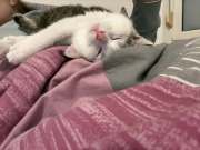 660888637_1501627698146827_4314279738714819792_n