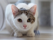 473355969_10232516671477188_2520922878773958129_n