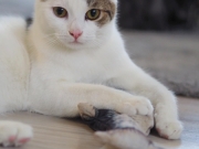 473583796_10232516671597191_1282725411342858000_n