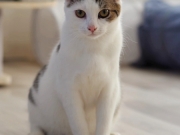 473599720_10232516671197181_5024731030652747627_n