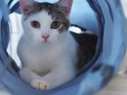 473708014_10232516671957200_7857200621493756957_n