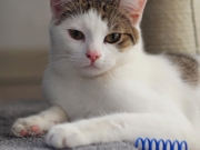 473822553_10232516671717194_6305268881324562699_n