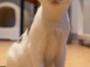 588834916_25361065100199838_6043409024653056443_n