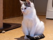 590082117_25361064603533221_4917216025266833427_n