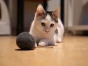 591955303_25361066033533078_6418245520419308310_n