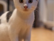 592084076_25361065140199834_5789306323747749523_n