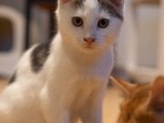 593538236_25361065716866443_6837643647126795831_n