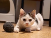 593790613_25361065903533091_9010876838732496056_n