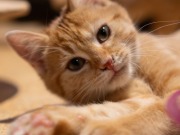 592399962_25361067143532967_4701112706529067030_n