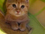 593289927_25361067973532884_5663538865692578282_n