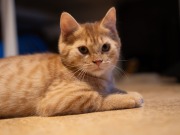 593419890_25361066350199713_5873569292308860695_n