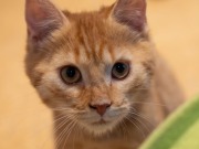 594078418_25361065743533107_7548057391696277222_n