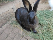 c0f1241f-4eea-4d14-8d0a-cd72060b5b1f