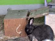 671651074_807364055403169_9097122633126728344_n