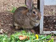 672173799_2416166402128478_5776601298794652198_n