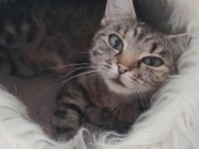 0a16e423-7015-438f-b743-1797879d9b8c