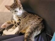 563974614_25334232786184839_2534512588655343886_n